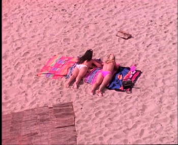 The Bikini Carwash Company (1992) download